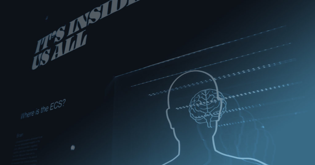 Information security improvement - it's all in the mindset | Pentest Limited